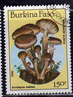 BURKINA FASO 1985 MUSHROOMS FUNGI CHAMPIGNONS FUNGHI ARMILLARIA MELLEA 150fr USATO USED OBLITERE' - Burkina Faso (1984-...)