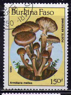 BURKINA FASO 1985 MUSHROOMS FUNGI CHAMPIGNONS FUNGHI ARMILLARIA MELLEA 150fr USATO USED OBLITERE' - Burkina Faso (1984-...)