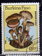 BURKINA FASO 1985 MUSHROOMS FUNGI CHAMPIGNONS FUNGHI ARMILLARIA MELLEA 150fr USATO USED OBLITERE' - Burkina Faso (1984-...)