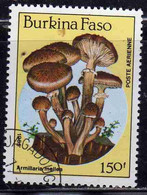 BURKINA FASO 1985 MUSHROOMS FUNGI CHAMPIGNONS FUNGHI ARMILLARIA MELLEA 150fr USATO USED OBLITERE' - Burkina Faso (1984-...)