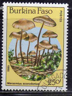 BURKINA FASO 1985 MUSHROOMS FUNGI CHAMPIGNONS FUNGHI MARASMIUS SCORODONIUS 250fr USATO USED OBLITERE' - Burkina Faso (1984-...)