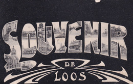 Loos   Souvenir De Loos  (vues Multiples Dans Les Lettres) - Loos Les Lille