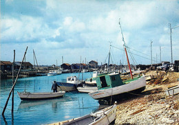 Delcampe - 17 - La Tremblade - Le Canal - La Tremblade