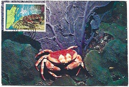 Belize & Maxmum Cardi, Coral Crab, Carpilius Corallinus Belize 1983 (8080) - Belize