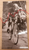 Cyclisme - Tour De France 1949 - Marinelli - Ciclismo
