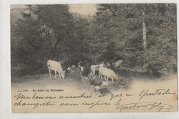 Ballaigues (Suisse, Vaud) : GP D'un Troupeau De Vaches En 1904 PF. - Ballaigues
