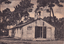 Delcampe - AA181 Tirrenia Cappellina Di S. Francesco - Pisa - Fg. Vg. - Pisa