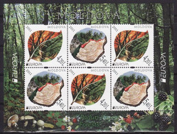 Europa Cept - 2011 - Moldova - 1.Booklet Pane Without Carton (Forests) ** MNH - 2011