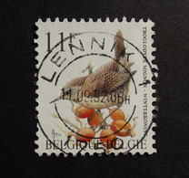 Belgie Belgique - 1992 - OPB/COB N° 2449 (1 Value) A. Buzin - Vogels - Oiseaux - Birds - Winterkoninkje Obl. Lennik - 1985-.. Birds (Buzin)