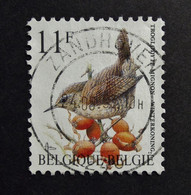 Belgie Belgique - 1992 - OPB/COB N° 2449 (1 ) A. Buzin - Vogels - Oiseaux - Birds - Winterkoninkje - Obl. Zandhoven - 1985-.. Birds (Buzin)