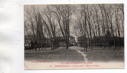 NEGREPELISSE LA PROMENADE PLACE DU CHATEAU TBE - Negrepelisse