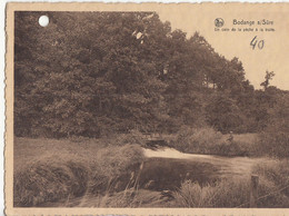 BODANGE S/Sûre - Un Coin De La Pêche à La Truite - Fauvillers