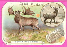 Beau Chromo Du Cacao Suchard De Neuchâtel Cerf Cervus Megacerus N°1 - Suchard