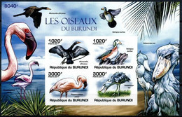 BURUNDI 2011 MNH Imperf SS, Birds, Reed Cormorant, African Pygmy Goose, Lesser Flamingo, Shoebill - Flamingo's