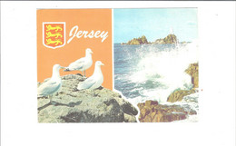 JERSEY        MULTIVUES  PHARE      ****  RARE      A  SAISIR **** - La Corbiere