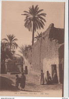 Delcampe - BISKRA UNE RUE TBE - Biskra