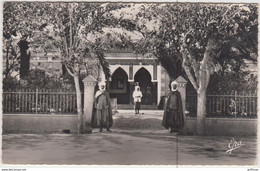 Delcampe - M'SILA SETIF SOUS PREFECTURE CPSM 9X14 DENTELEE NEUVE - M'Sila