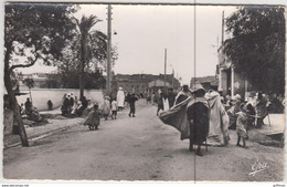 Delcampe - M'SILA SETIF AVENUE DE BARIKA CPSM 9X14 DENTELEE NEUVE - M'Sila