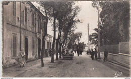 M'SILA SETIF L'HOTEL DE FRANCE ET AVENUE DE BOU SAADA  CPSM 9X14 DENTELEE - M'Sila