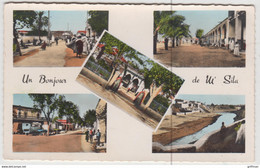 Delcampe - UN BOUJOUR DE M'SILA SETIF  CPSM 9X14 DENTELEE NEUVE - M'Sila