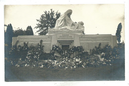 Amay Monument Photocarte - Amay