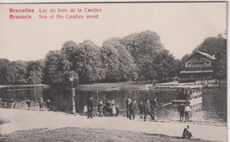 BELGIUM - Bruxelles.  Lac Du Bois De La Cambre - Superbly Animated View - Bossen, Parken, Tuinen