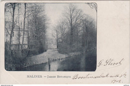 MALINES JARDIN BOTANIQUE PRECURSEUR 1902 TBE - Malines