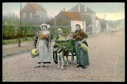 BELGIUM  - Attelage De Chiens - Laitières - En Route Pour La Ville. (Série 275) Carte Postale - Artisanat