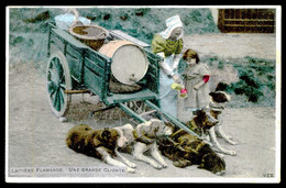 BELGIUM  - Attelage De Chiens - Laitière Flamande-Une Grande Clliente. ( Ed. V.E.D.) Carte Postale - Artisanat