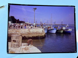 Le Croisic * Port * Bateaux De Pêche Et Casiers * Ektachrome Photo Original 17.5x12.5cm Maison ARTAUD - Le Croisic