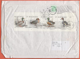 BELGIO - BELGIE - BELGIQUE - 2004 - 4 X 13F Canard (Birds) + 2F - Big Envelope - Viaggiata Da Antwerpen Per Brussels - Briefe U. Dokumente