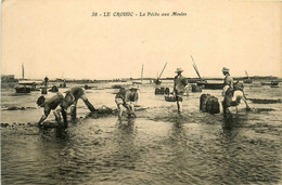 Le Croisic * La Pêche Aux Moules * Pêcheurs à Pied - Le Croisic