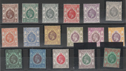 538 Hong Kong  1921-33 - Effige Di Giorgio V N. 118/31. Cat. € 1250,00. SPL. MH - Neufs