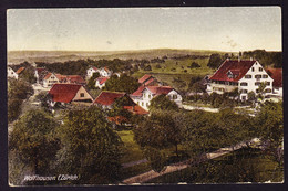 1923 Mit Bahnpost Gelaufene AK: Wolfhausen. Stempel: Bauma-Uerikon-Bauma, Bahnpost. - Bauma