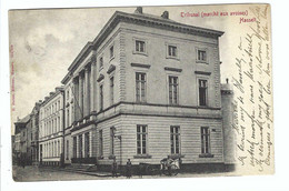 Hasselt  Tribunal (marché Aux Avoines)  1903 - Hasselt