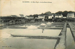 Le Croisic * Le Mont Esprit * Vue Des Marais Salants * Paludiers Sel - Le Croisic