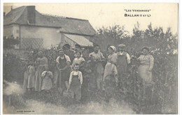 37  BALLAN  LES  VENDANGES - Ballan-Miré