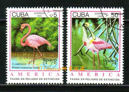 Cuba 1993 America Endangered Animals Animal Birds Bird Phoenicopterus Ruber Flamingos Flamingo Stamps USED - Fenicotteri