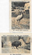 Lot De 2 Etiquettes Publicitaires Chicorée Leroux - Parc Zoologique De Vincennes (50 Nandou, 46 Bison) - Cafés & Chicorées