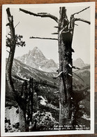 SCHWEIZER NATIONAL-PARK :  VAL MINGÈR MIT PIZ PLAVNA DA DAINT - Foto Feuerstein, Schuls - Tarasp - Tarasp