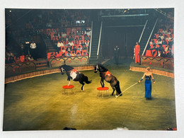 Cirque - Photo Dompteur/Dresseur Chevaux Elvira - Circus - Personalidades Famosas