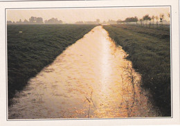 A19620 - FLEVOLAND POLDERS PAYS-BAS THE NETHERLANDS NEDERLAND HOLLANDE POST CARD UNUSED PHOTO SAUCEY - Otros & Sin Clasificación