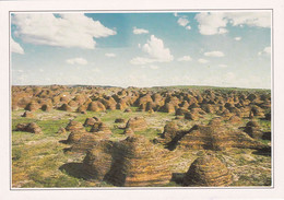 A19624 - OPEN SPACES IN KIMBERLEY LES GRANDS ESPACES DES KIMBERLEY AUSTRALIA AUSTRALIE POST CARD UNUSED PHOTO A PERIER - Otros & Sin Clasificación