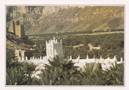 A19639 - YEMEN DU SUD PLATEAU DE L'HADRAMAOUT SOUTH YEMEN POST CARD UNUSED PHOTO RICHER HOA QUI IMPRIME EN CEE - Yémen