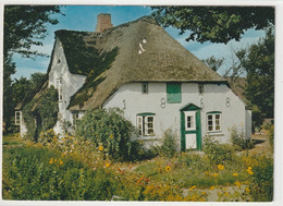 Nordfriesland, Amrum, Friesenhaus, Schleswig-Holstein - Nordfriesland