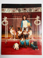 Cirque - Photo Dompteur/Dresseur Chiens KONIEWICZ - Circus - Famous People