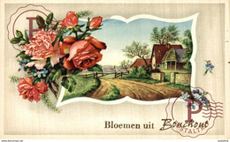 BLOEMEN UIT  BOUCHOUT BOECHOUT   ANVERS ANTWERPEN  Bélgica Belgique - Böchout