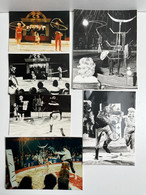 Cirque - Lot De 6 Photos Dompteur/Dresseur Chiens Lanceur Couteaux FISHER- Circus - Famous People