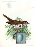 Chromo The American Singer Series Machine à Coudre Sewing Machine Oiseau Bird Uccello Wood Thrush Année 1898 N°4 TB.E - Other & Unclassified