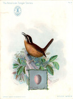 Chromo The American Singer Series Machine à Coudre Sewing Machine Oiseau Bird Uccello House Wren Année 1898 N°6 TB.E - Sonstige & Ohne Zuordnung